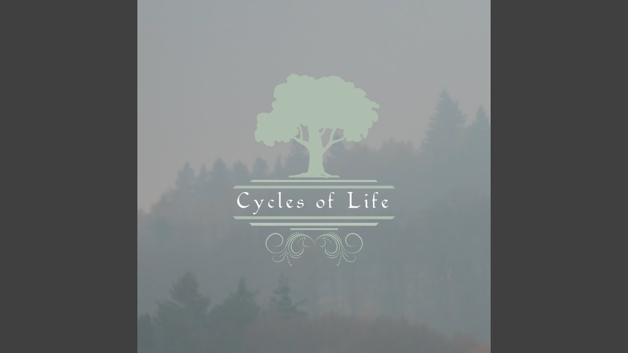 在 YouTube 上觀看「Cycles of Life (Live)」