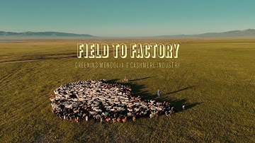 Field to Factory: Greening Mongolia