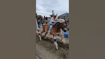 ?? Ringrijden Koudekerke ????  Nederland @TravelwithHugoF  #ringrijden #horses #koudekerke #netherlands