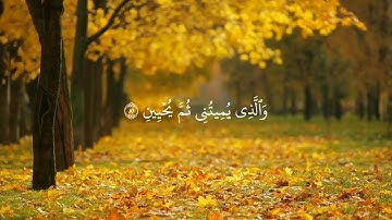 شاشة سوداء __ سورة الشعراء  __ شريف مصطفى