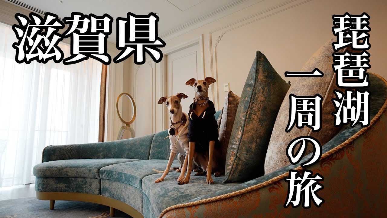 愛犬と一泊二日琵琶湖一周の旅