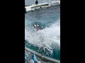 尻尾でスプラッシュ