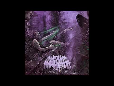 Infant Annihilator- Soil the Stillborn(Instrumental)
