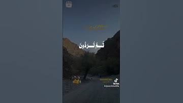 روائع التلاوات  للشيخ علي جابر رحمه الله Abomahdi Hony Egypt 202700144719819024