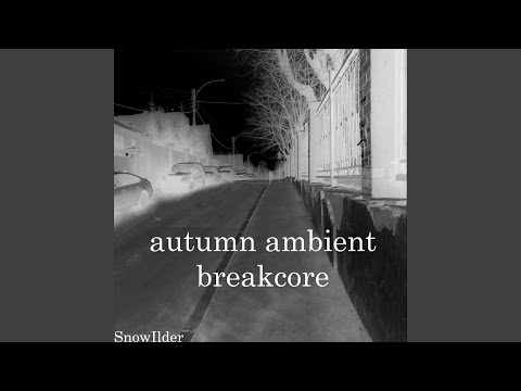 شب تاریک است