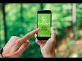 Plantsnap the app that identifies plants in an instant