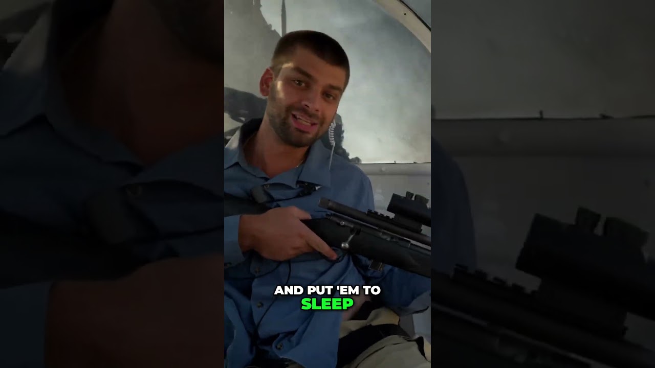 Rhino Relocation: Tranquilizer Gun Saves the Day! 