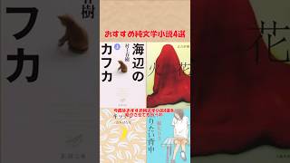 おすすめ純文学小説4選(海辺のカフカ、キッチン、火花、蹴りたい背中) #ゆっくり解説 #books #おすすめ#shorts #本 #小説 #読書 #純文学 #文学