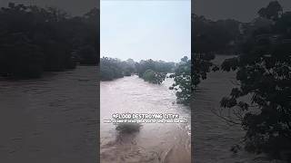 When Cruz Got A Flood Warning stealabrainrot