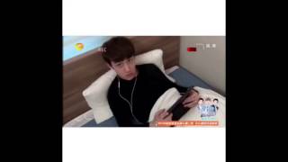 Exo Vines 1