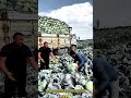 Load Process Passing and Arranging Vegetables on a Giant Truck #dailywork