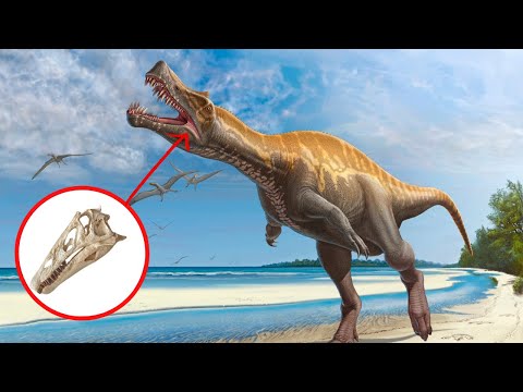 Amazing new discovery