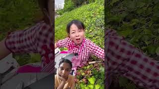 #hindi #funny #fruit #facts #ガーデニング #baalveer #ogr #gartenarbeit #tuinieren #과일