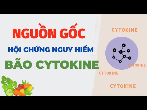 Video: Nguồn gốc từ cho cytokinesis là gì?