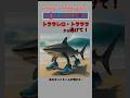 トララレロ・トラララから逃げて！ #shorts #italianbrainrot #都市伝説