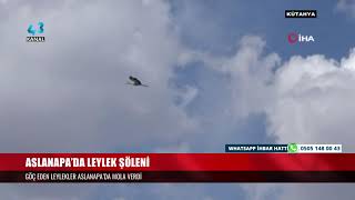 Aslanapa’da Leylek Şöleni̇