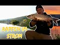 Am Fluss auf Rapfen! 🎣💯 Iron Claw Fishing