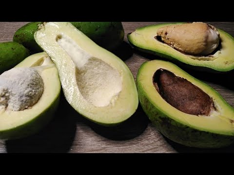 Video: Avocado, o pera alligatore