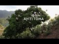 Ayiti toma official trailer 2013  haitian movie