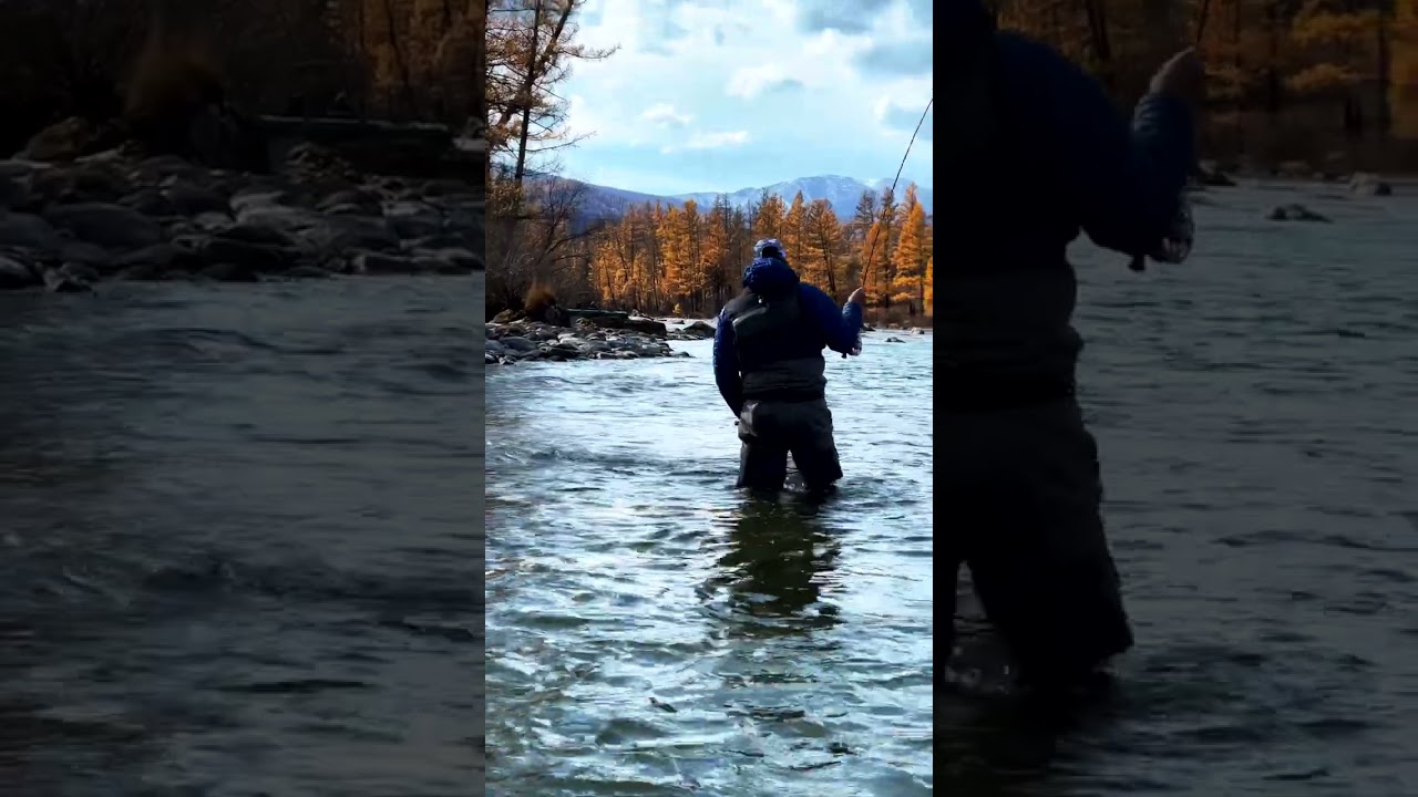 2 lenoks on the rods