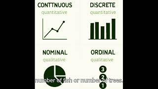 Continuous, Discrete, Nominal, Ordinal  What’s the Difference