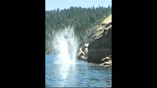 Cliff Diving, Flipping, & Flopping - 50 feet