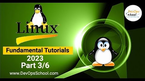 Linux Fundamental Tutorials(2023) Part 3/6
