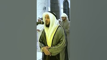 سورة يوسف - مشاري راشد العفاسي