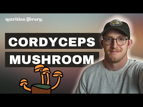 Cordyceps Mushroom | Benefits + How Cordyceps