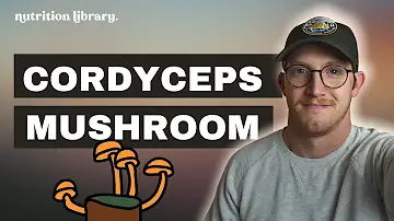 What does Cordyceps do for you?