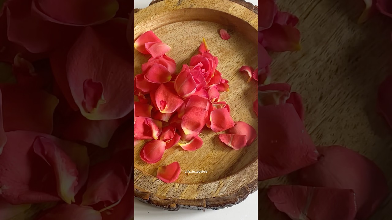 Diy rose powder for face packs 