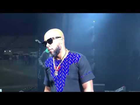 Speedy lento live performance