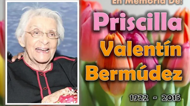 MEMORIAS EN DVD de  PRISCILLA VALENTIN BERMUDEZ