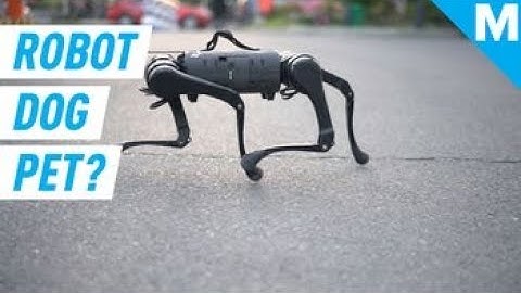 This Boston Dynamics Robot Dog Lookalike Might Be The 
