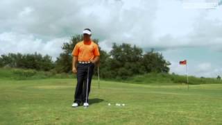 Sean Foley - Left hand only Drill.flv screenshot 4