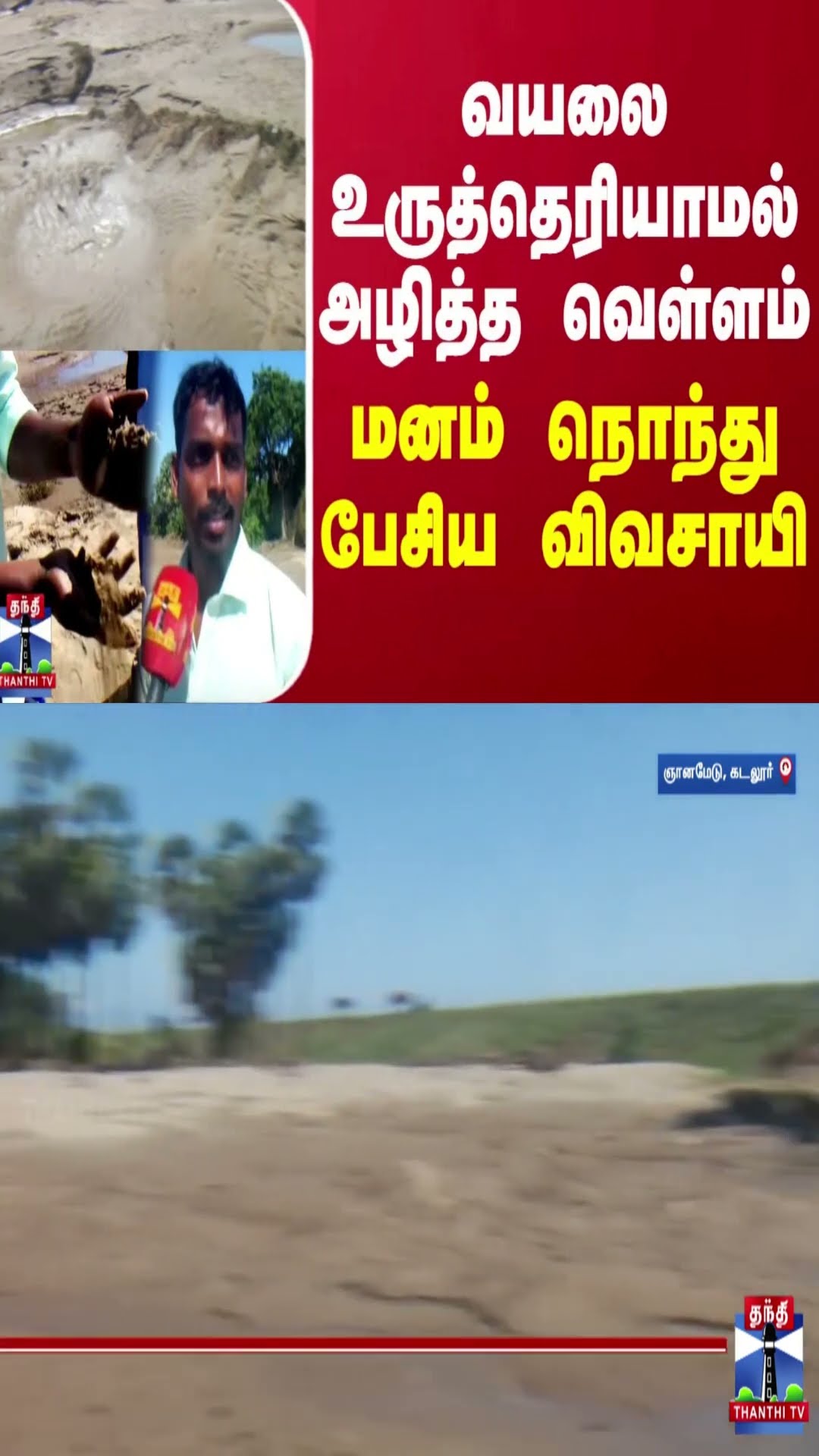 வயலை உருத்தெரியாமல் அழித்த காட்டாற்று வெள்ளம் - மனம் நொந்து பேசிய விவசாயி | Cuddalore | Thanthi TV