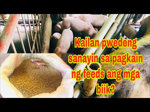 Video: Ano ang pilosopiya ng pagsasanay sa pag-aalaga?