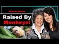 The Girl Adopted By Monkeys Marina Chapman The Girl Adopted By Monkeys Marina Chapman