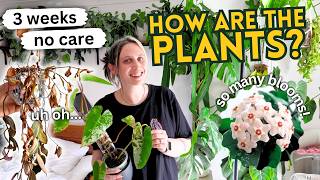 I Left My Plants For 3 Weeks In A Heatwave 🥵 June Collection Walkthrough
