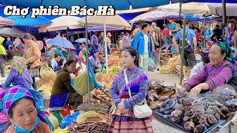 Chợ người Mông Bác hà - ẩm thực , thảo Dược , được trưng bày thu hút khách ngập mồm !