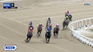 Vidéo de la course PMU RACE 9
