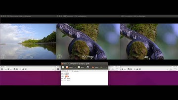 Video Streaming Comparison: TCP vs UDP vs PCC