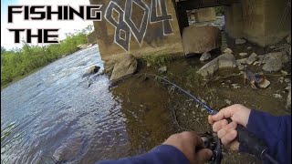 *STRIPER* Fishing in the James River