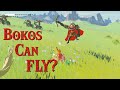 Bokoblins Can Fly? | The Legend of Zelda: Breath of the Wild