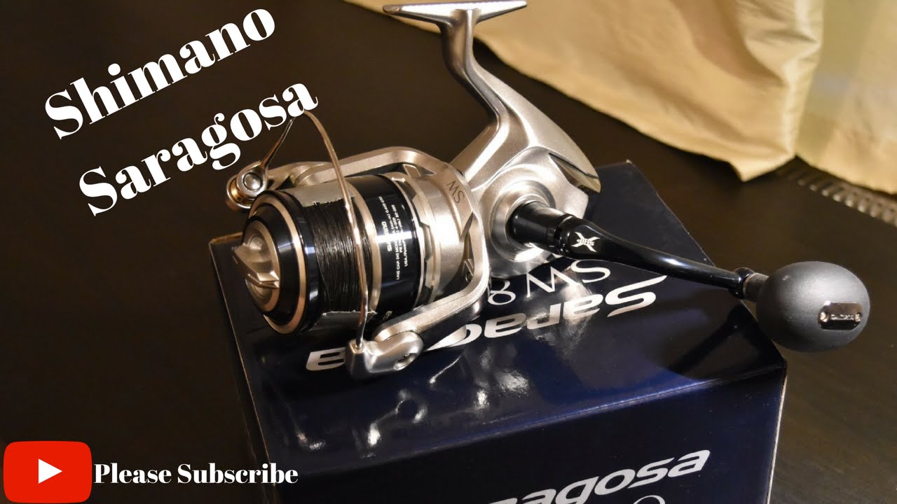 SHIMANO SARAGOSA SW 8000  Chasing monsters in shallow waters