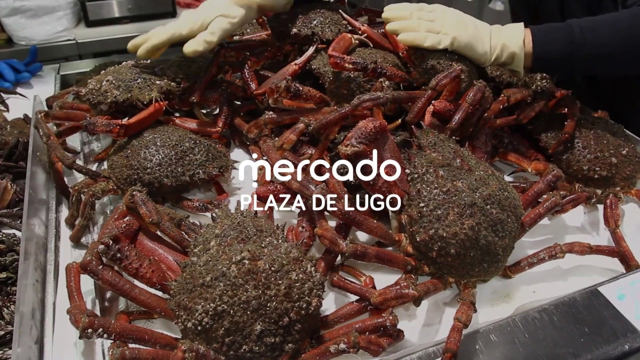 Mercado Plaza de Lugo