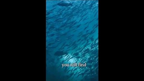 How everything seems to be connected? #nlp