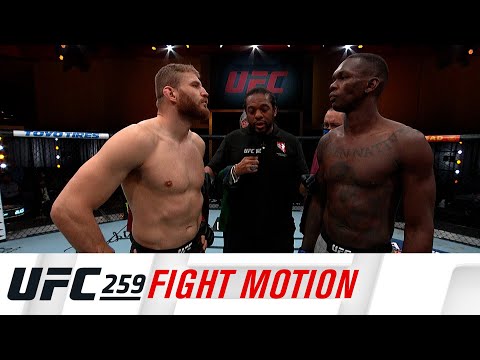 UFC 259: Fight  Motion