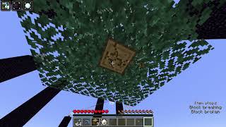craftmine any% 15:28 world record (april fools update)
