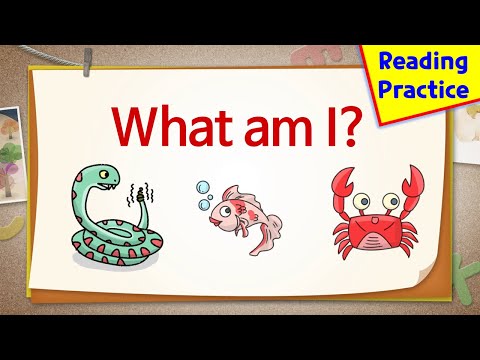 Latihan Membaca Bahasa Inggeris untuk Kanak-kanak | What Am I? (1-180)